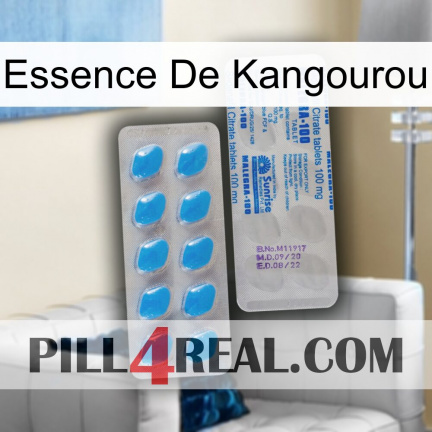 Kangaroo Essence new15